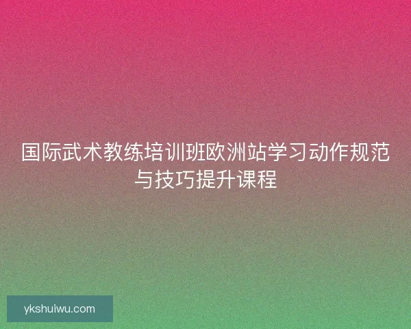 国际武术教练培训班欧洲站学习动作规范与技巧提升课程