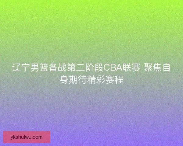 辽宁男篮备战第二阶段CBA联赛 聚焦自身期待精彩赛程
